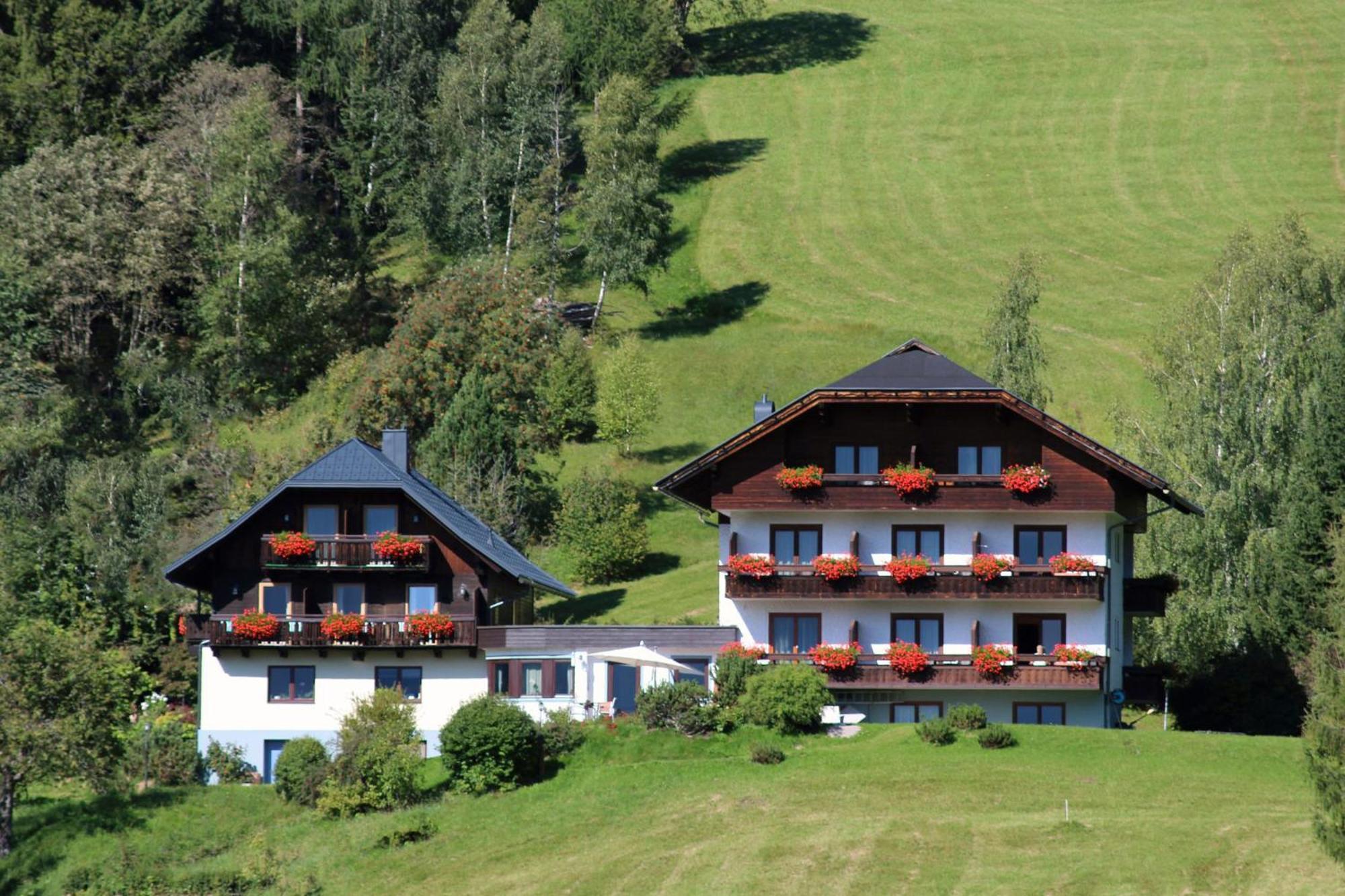 Pension & Appartements Ronacherhof Bad Kleinkirchheim Exterior photo
